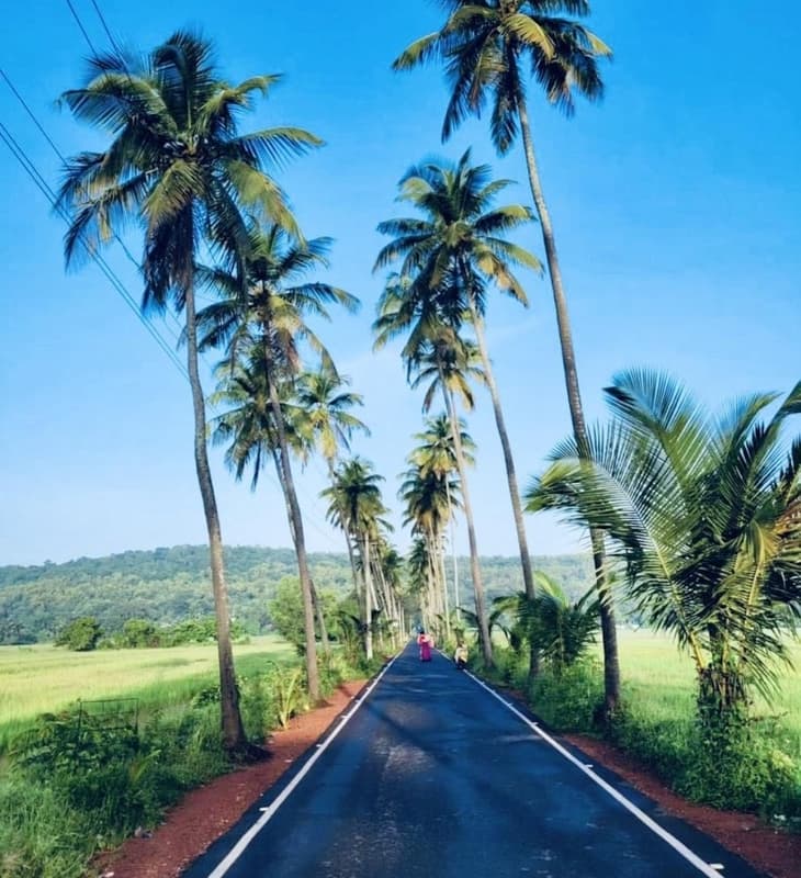 Scenic Destination 49